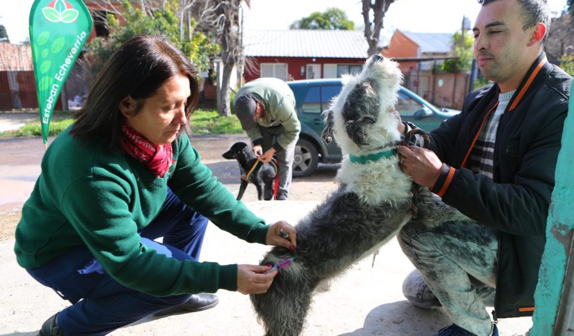 Esteban Echeverría: Nuevas jornadas de vacunación antirrábica para perros y gatos