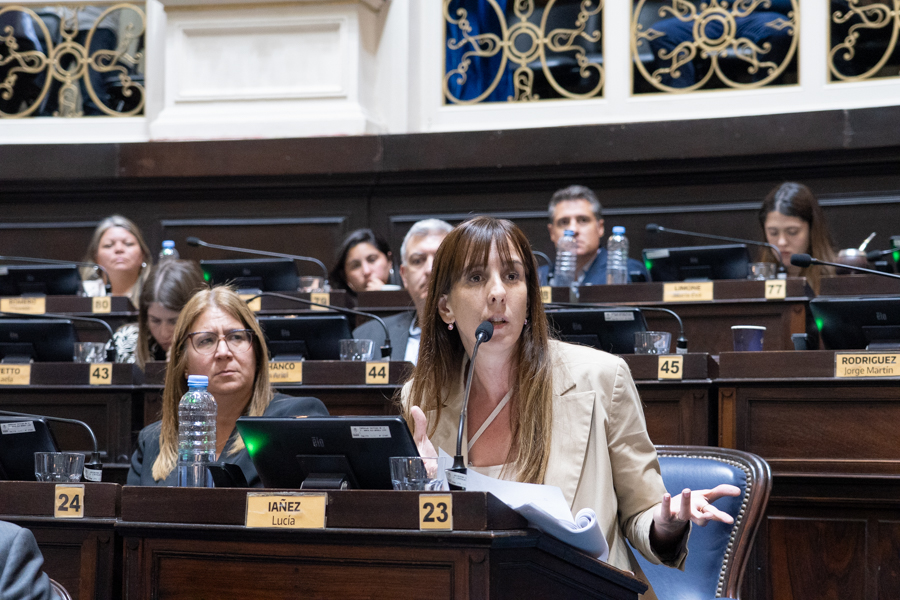 Se aprobaron modificaciones que agilizan el régimen de adopción en la provincia